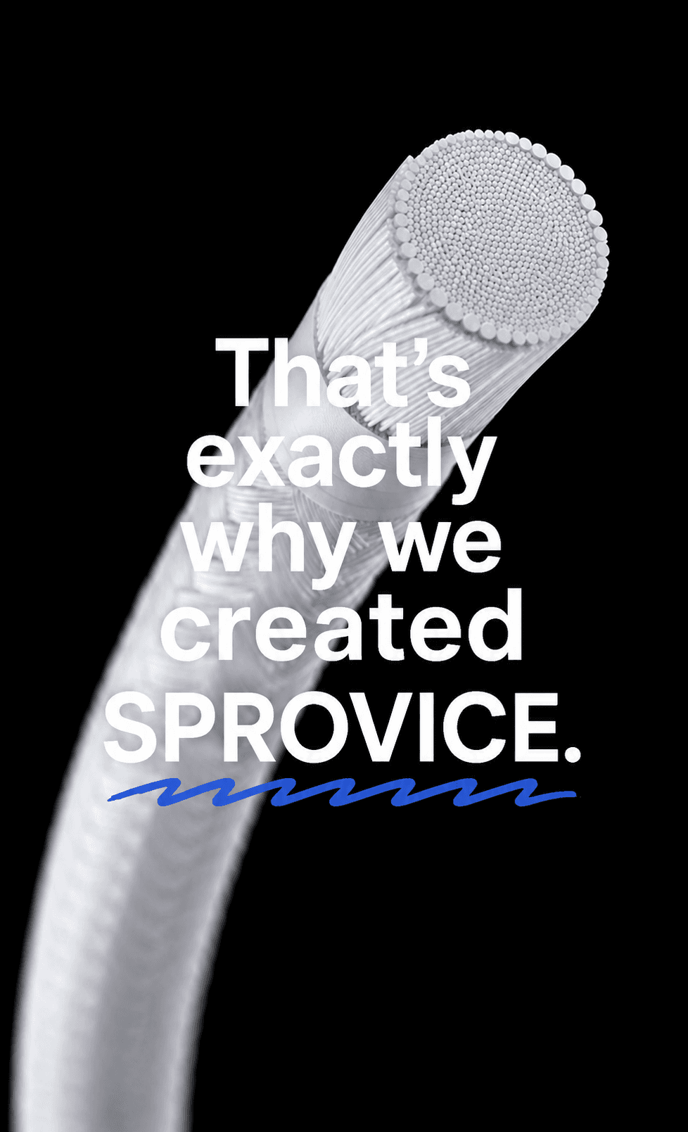 Sprovice — IMG 7854